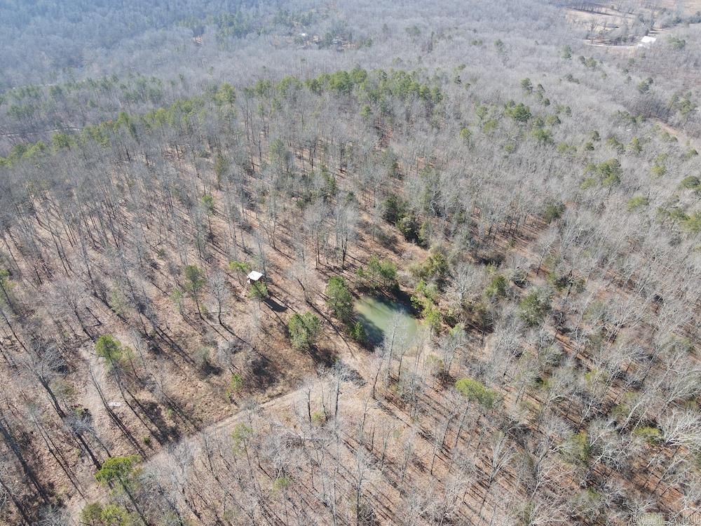   Mossy Ridge Rd.  Mountain View, AR