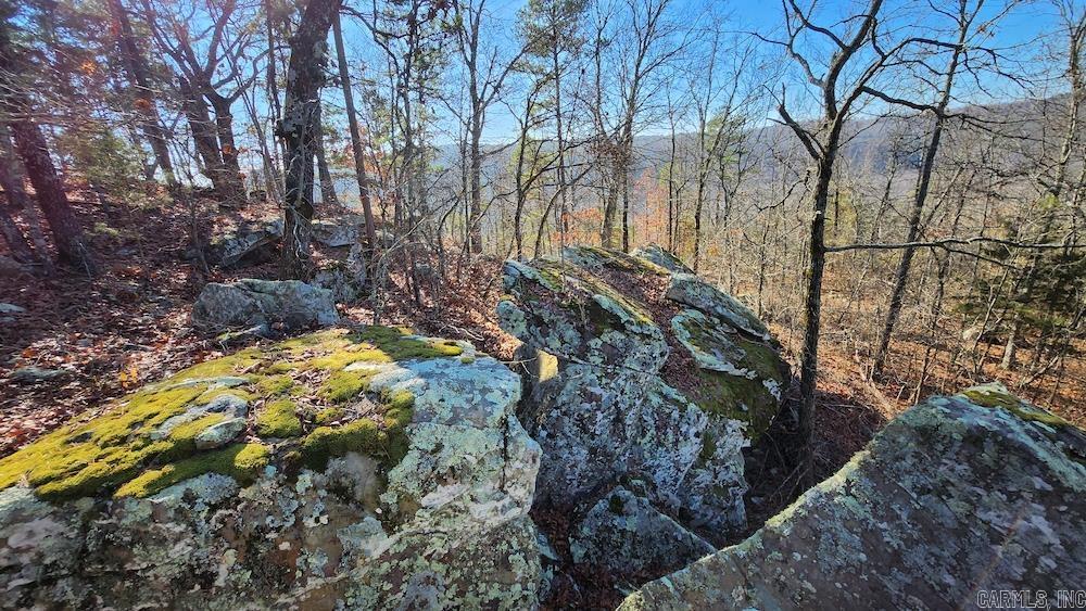   Mossy Ridge Rd.  Mountain View, AR