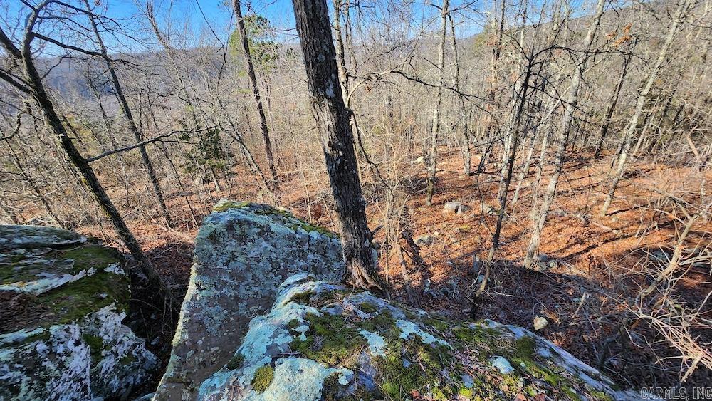   Mossy Ridge Rd.  Mountain View, AR