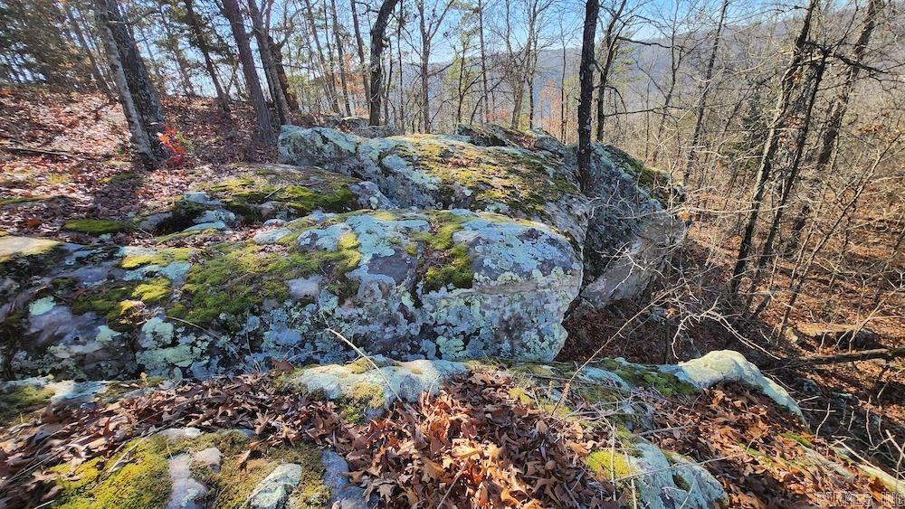   Mossy Ridge Rd.  Mountain View, AR