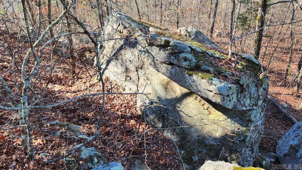   Mossy Ridge Rd.  Mountain View, AR