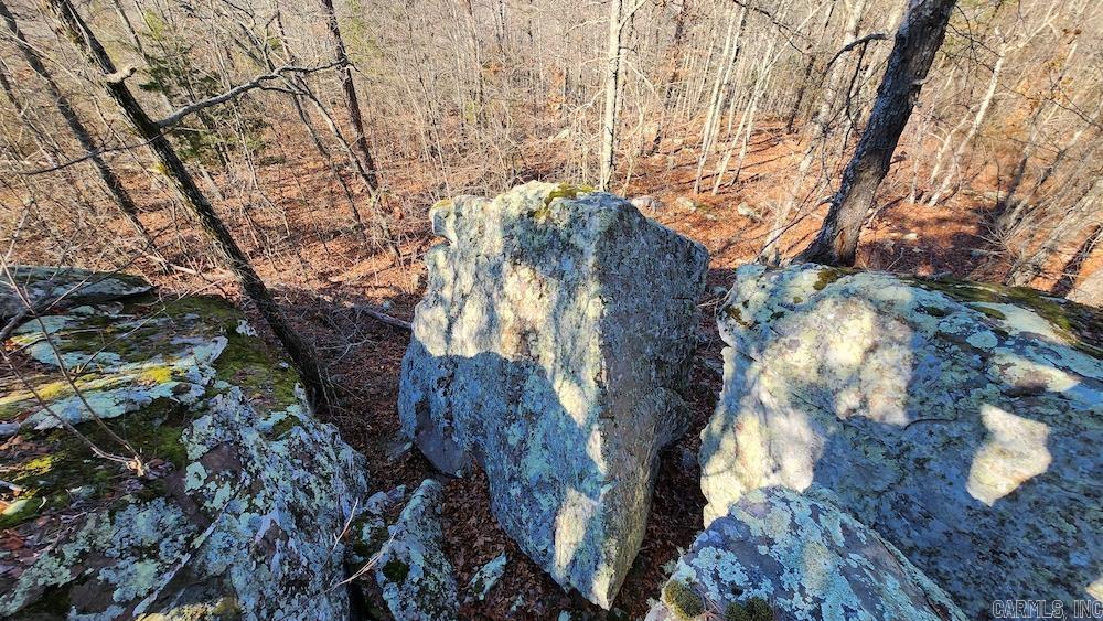   Mossy Ridge Rd.  Mountain View, AR