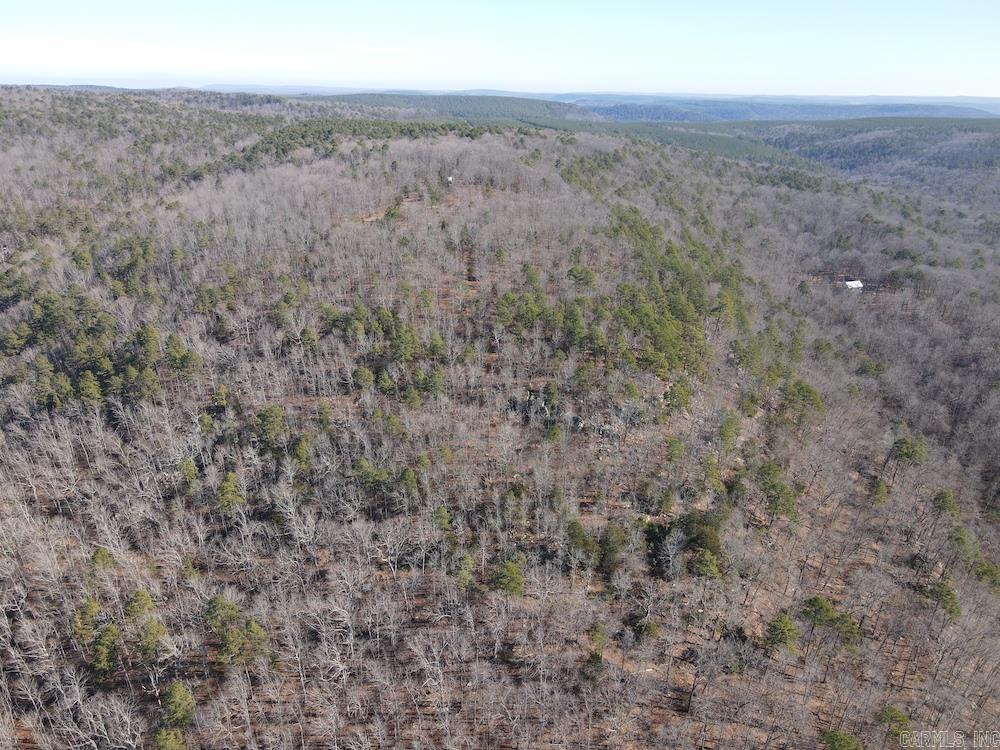   Mossy Ridge Rd.  Mountain View, AR