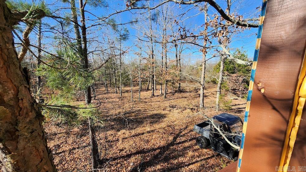   Mossy Ridge Rd.  Mountain View, AR