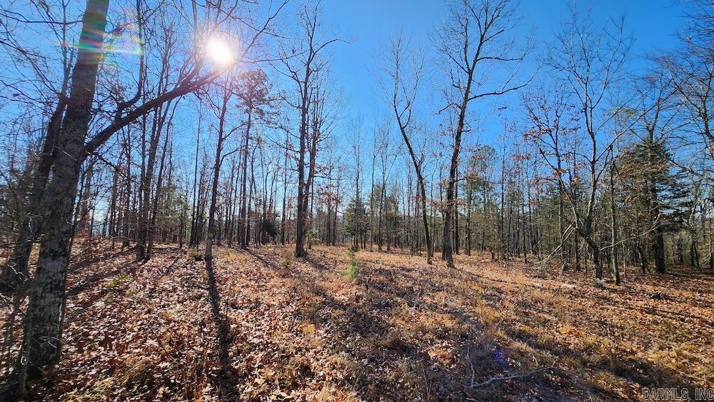   Mossy Ridge Rd.  Mountain View, AR