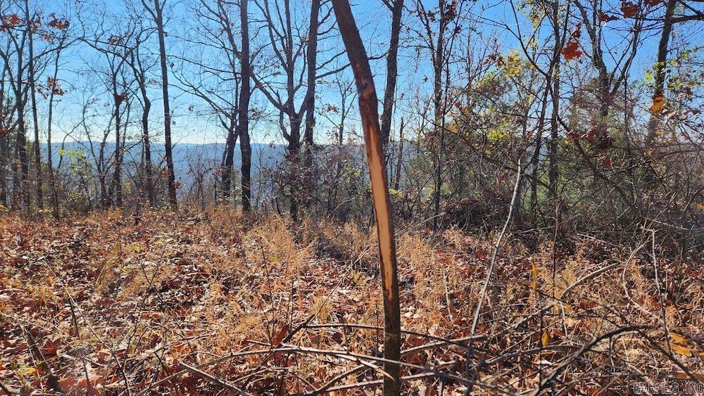   Mossy Ridge Rd.  Mountain View, AR