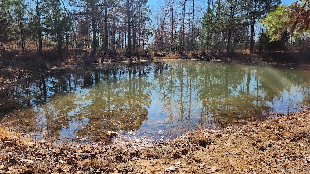   Mossy Ridge Rd.  Mountain View, AR