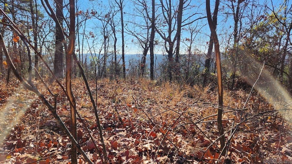   Mossy Ridge Rd.  Mountain View, AR