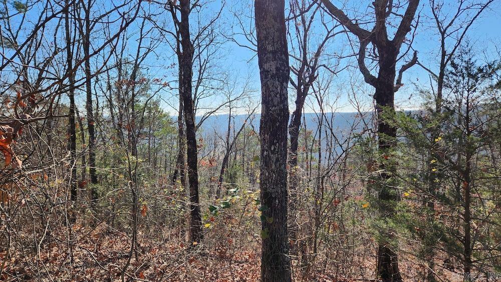   Mossy Ridge Rd.  Mountain View, AR