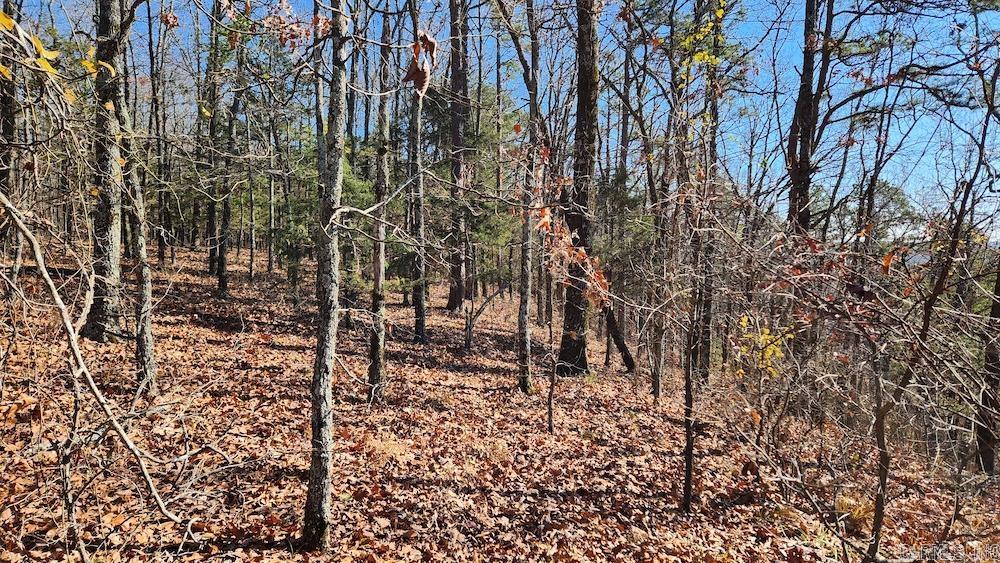   Mossy Ridge Rd.  Mountain View, AR
