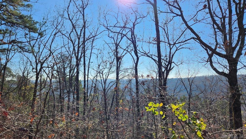   Mossy Ridge Rd.  Mountain View, AR