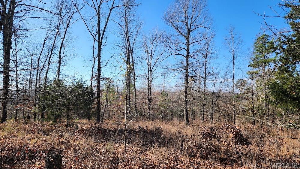   Mossy Ridge Rd.  Mountain View, AR