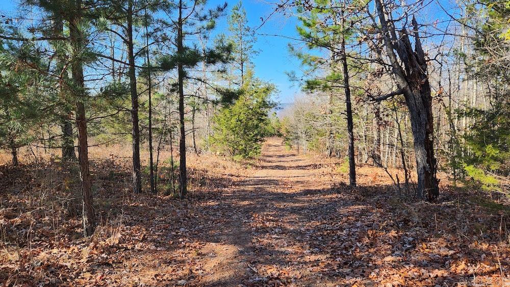   Mossy Ridge Rd.  Mountain View, AR
