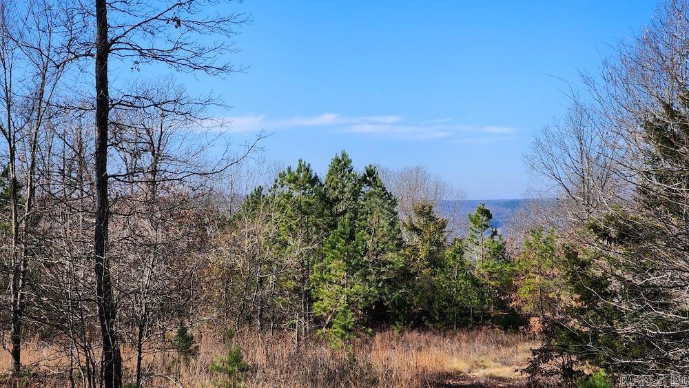   Mossy Ridge Rd.  Mountain View, AR