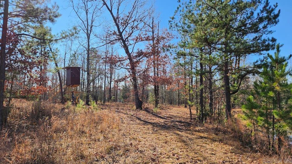   Mossy Ridge Rd.  Mountain View, AR