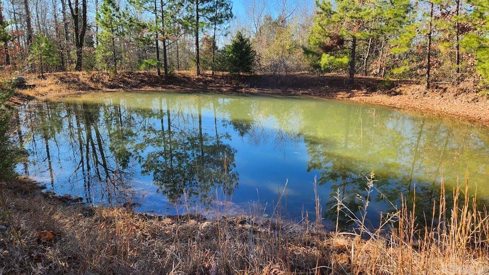   Mossy Ridge Rd.  Mountain View, AR