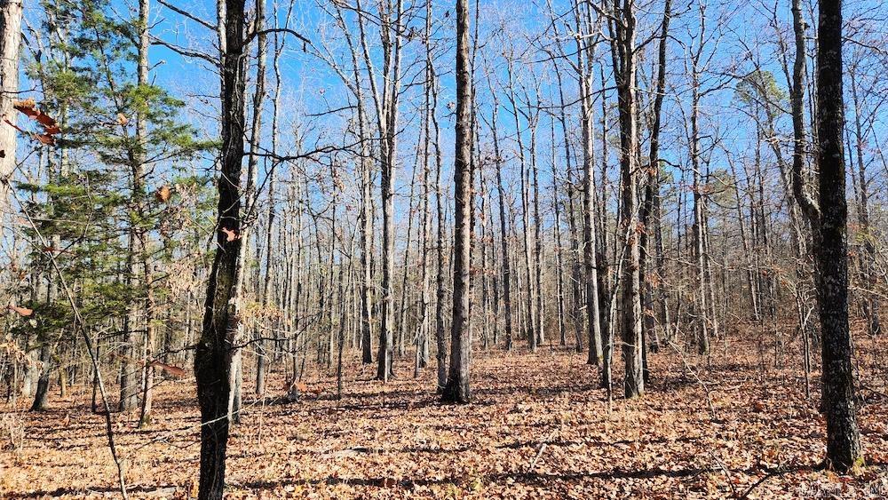   Mossy Ridge Rd.  Mountain View, AR