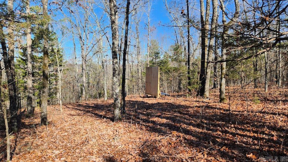  Mossy Ridge Rd.  Mountain View, AR