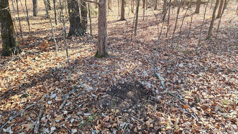  Mossy Ridge Rd.  Mountain View, AR