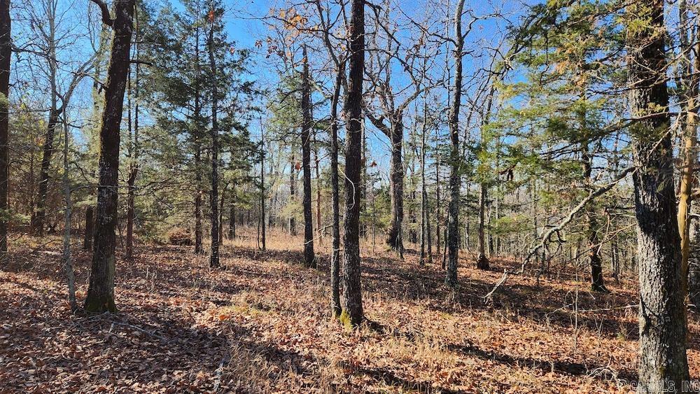   Mossy Ridge Rd.  Mountain View, AR