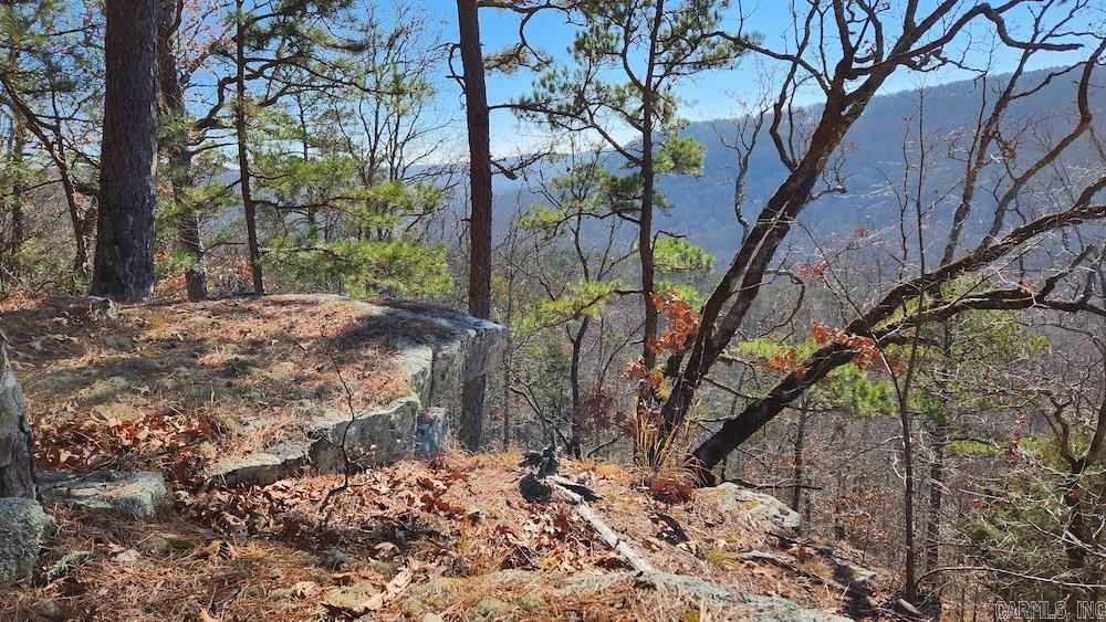   Mossy Ridge Rd.  Mountain View, AR