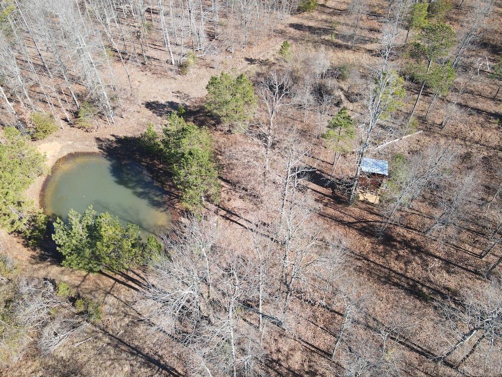   Mossy Ridge Rd.  Mountain View, AR