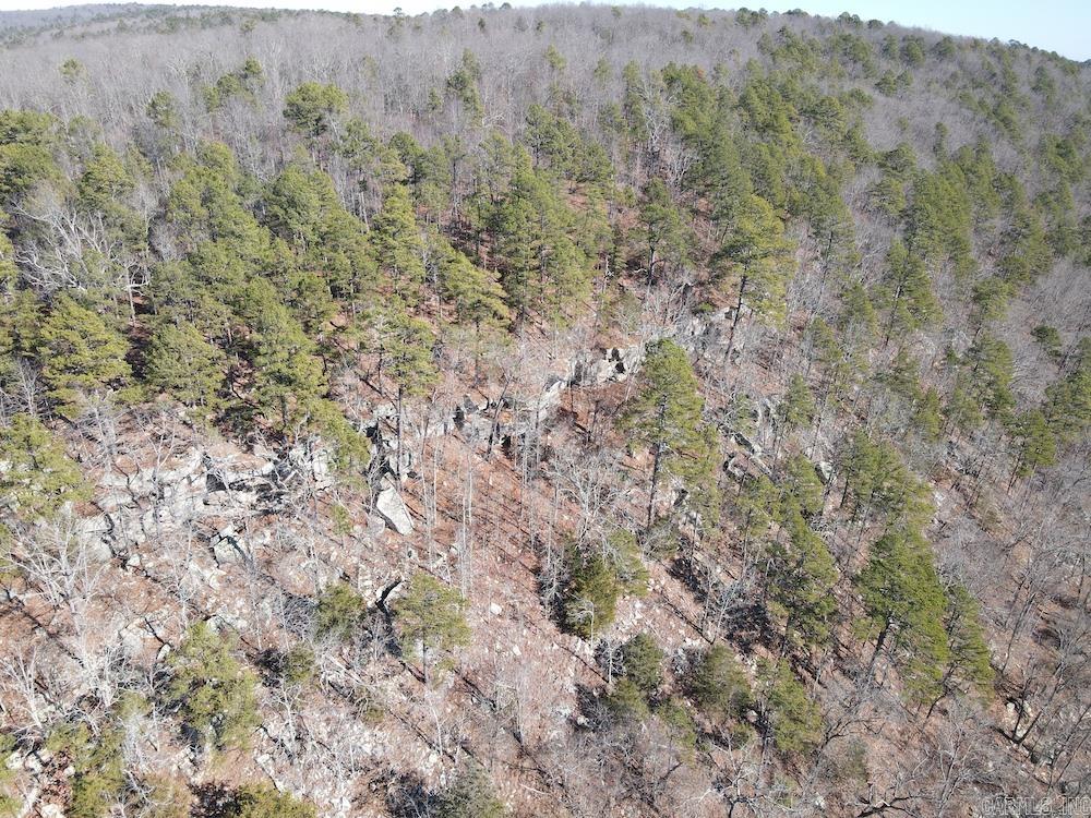   Mossy Ridge Rd.  Mountain View, AR