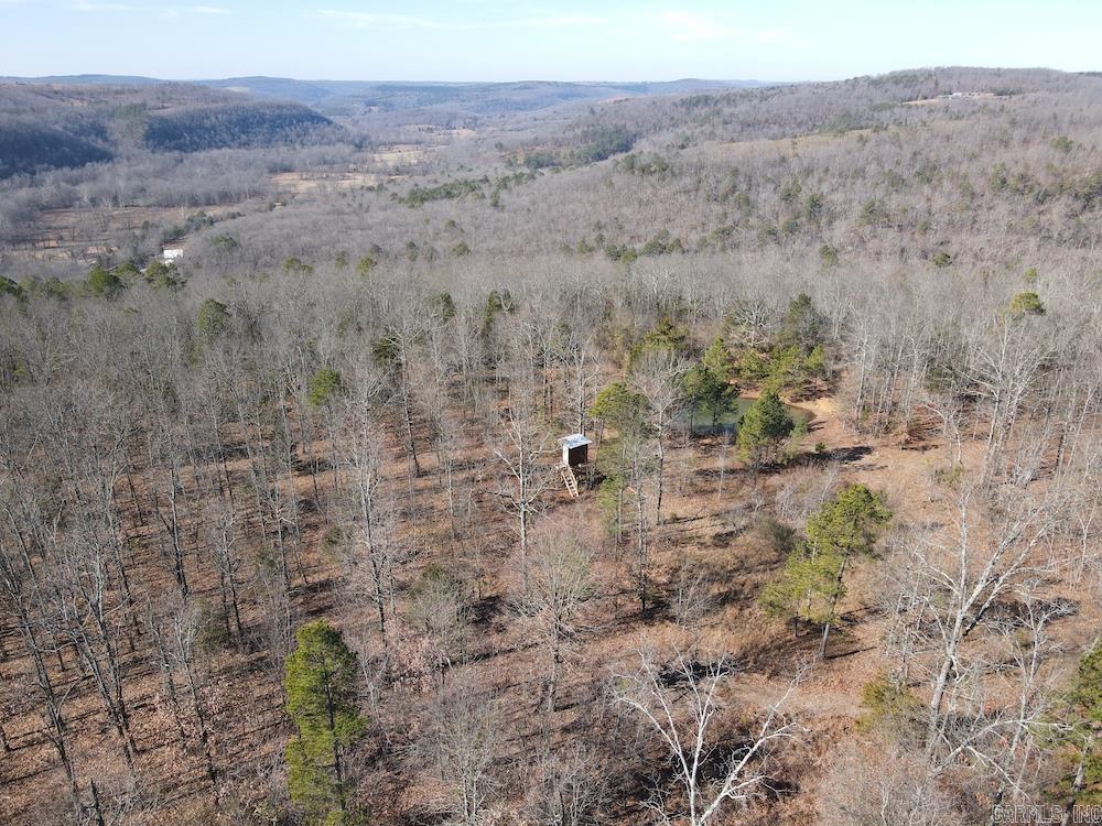   Mossy Ridge Rd.  Mountain View, AR