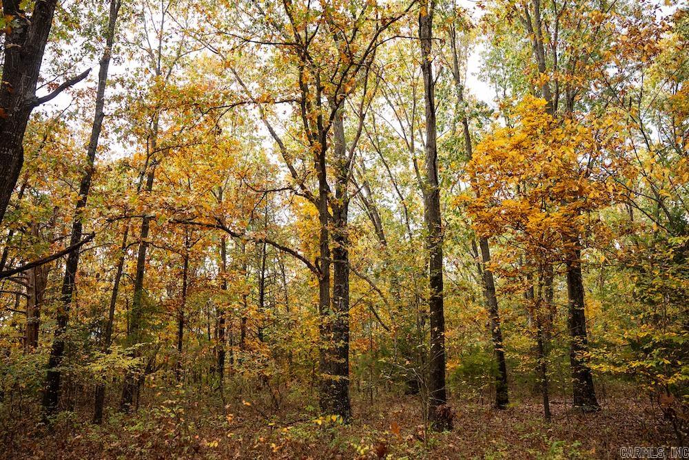   CR 663  Oak Grove, AR