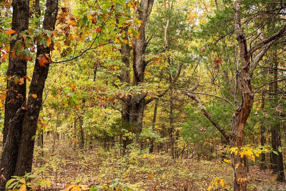   CR 663  Oak Grove, AR