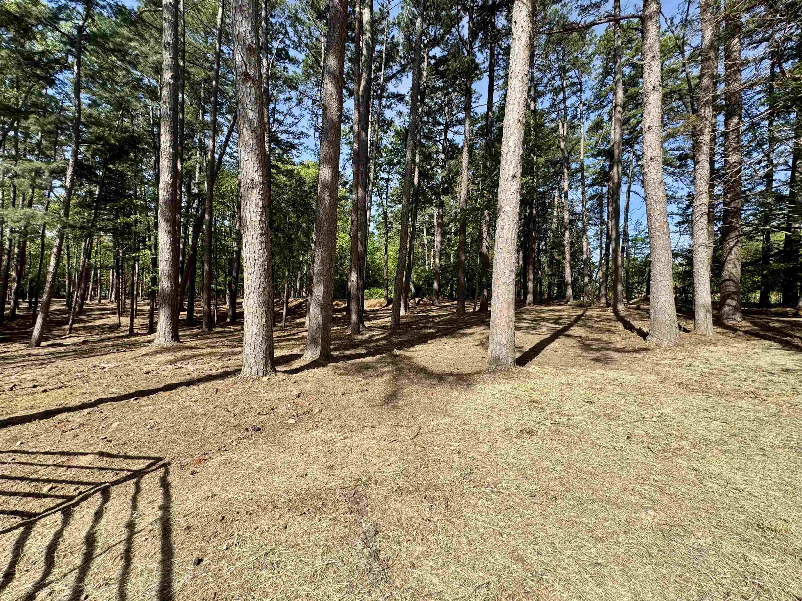 5183  Hwy 14  Fifty-Six, AR