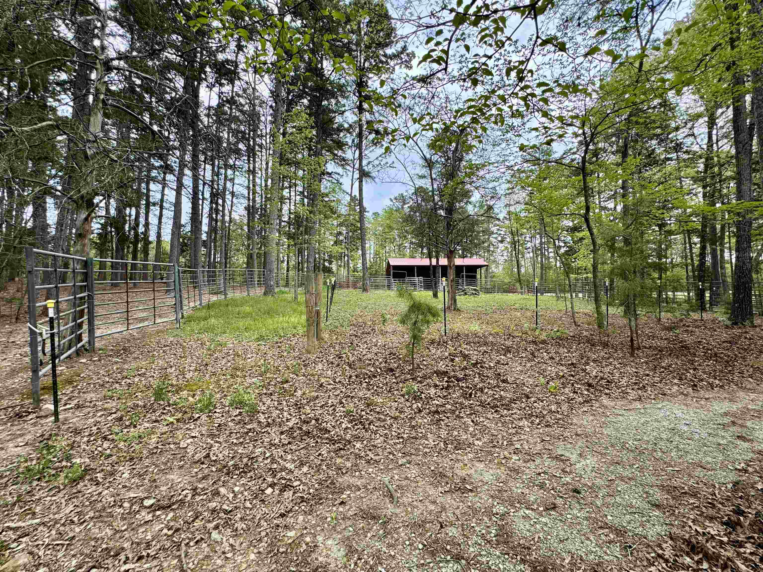 5183  Hwy 14  Fifty-Six, AR