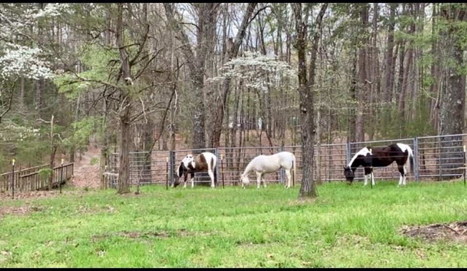 5183  Hwy 14  Fifty-Six, AR