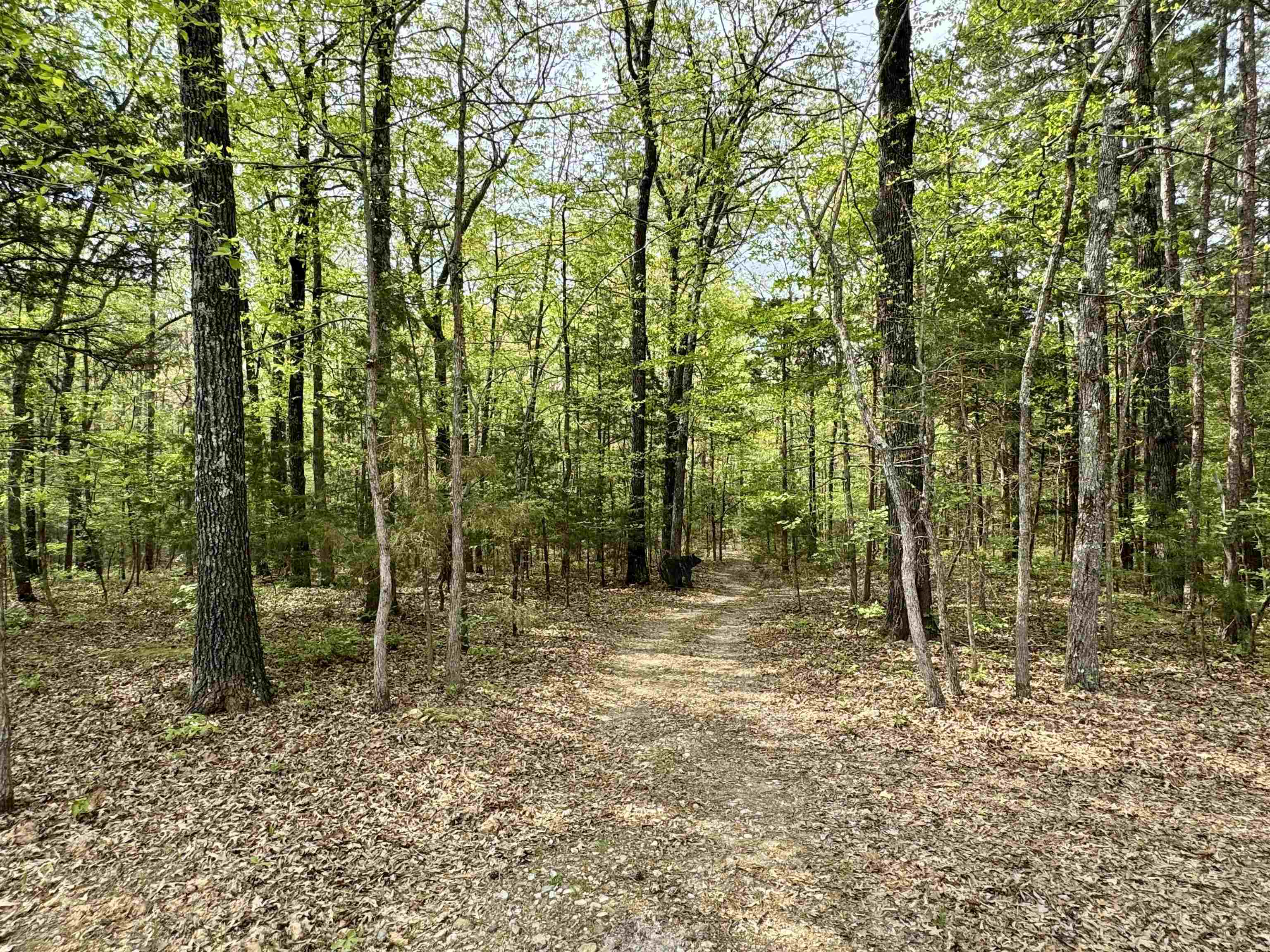 5183  Hwy 14  Fifty-Six, AR