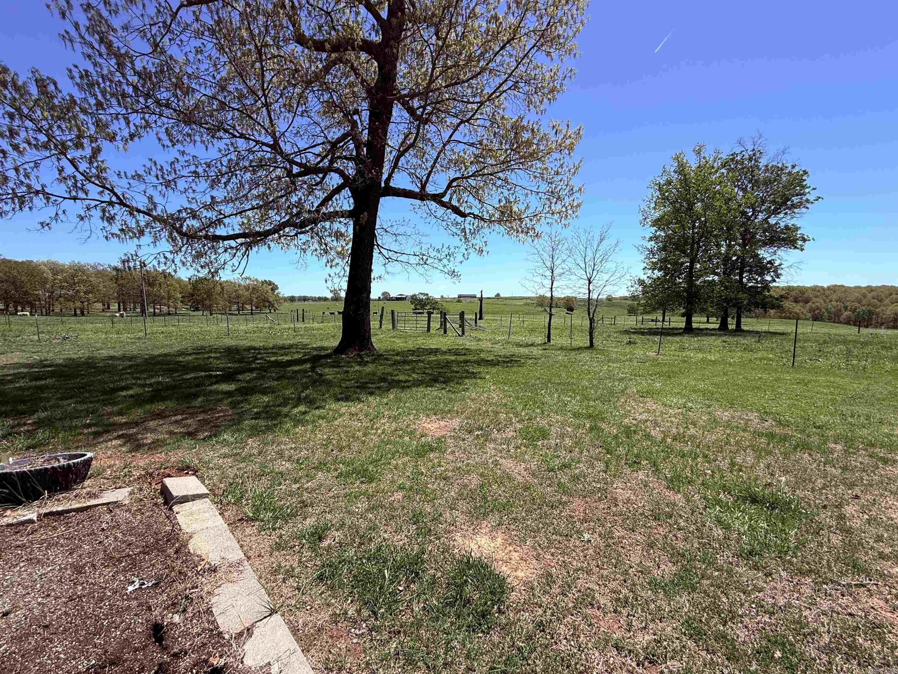 894  Statler Lane  Ash Flat, AR