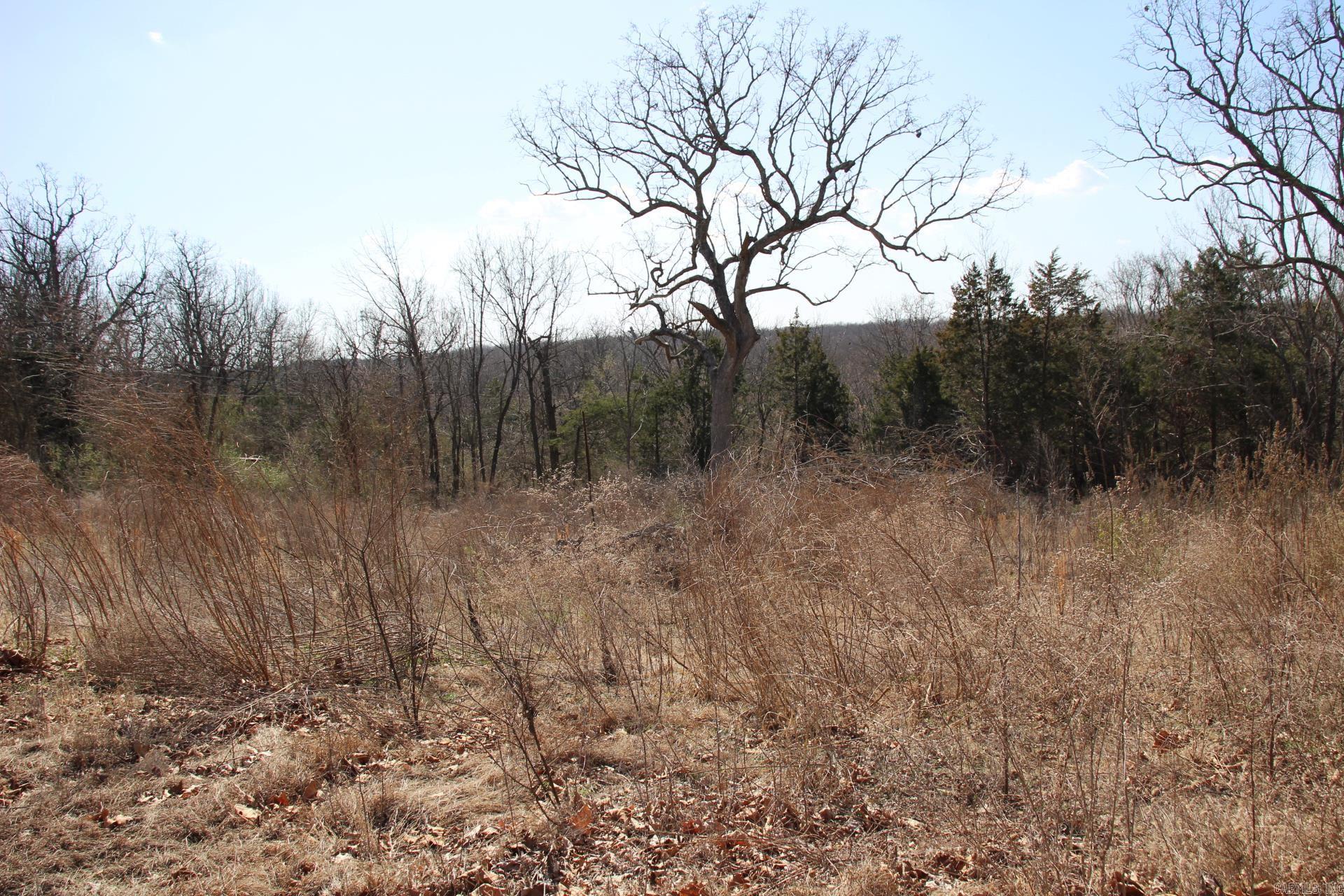 lot 1  Kingsberry  Mountain Home, AR