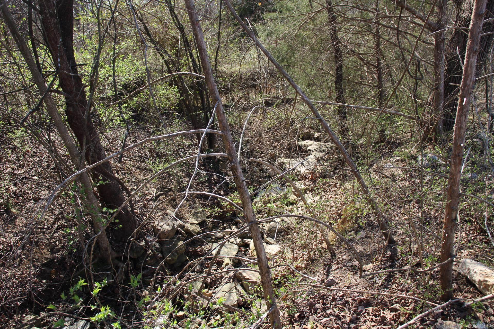 lot 1  Kingsberry  Mountain Home, AR
