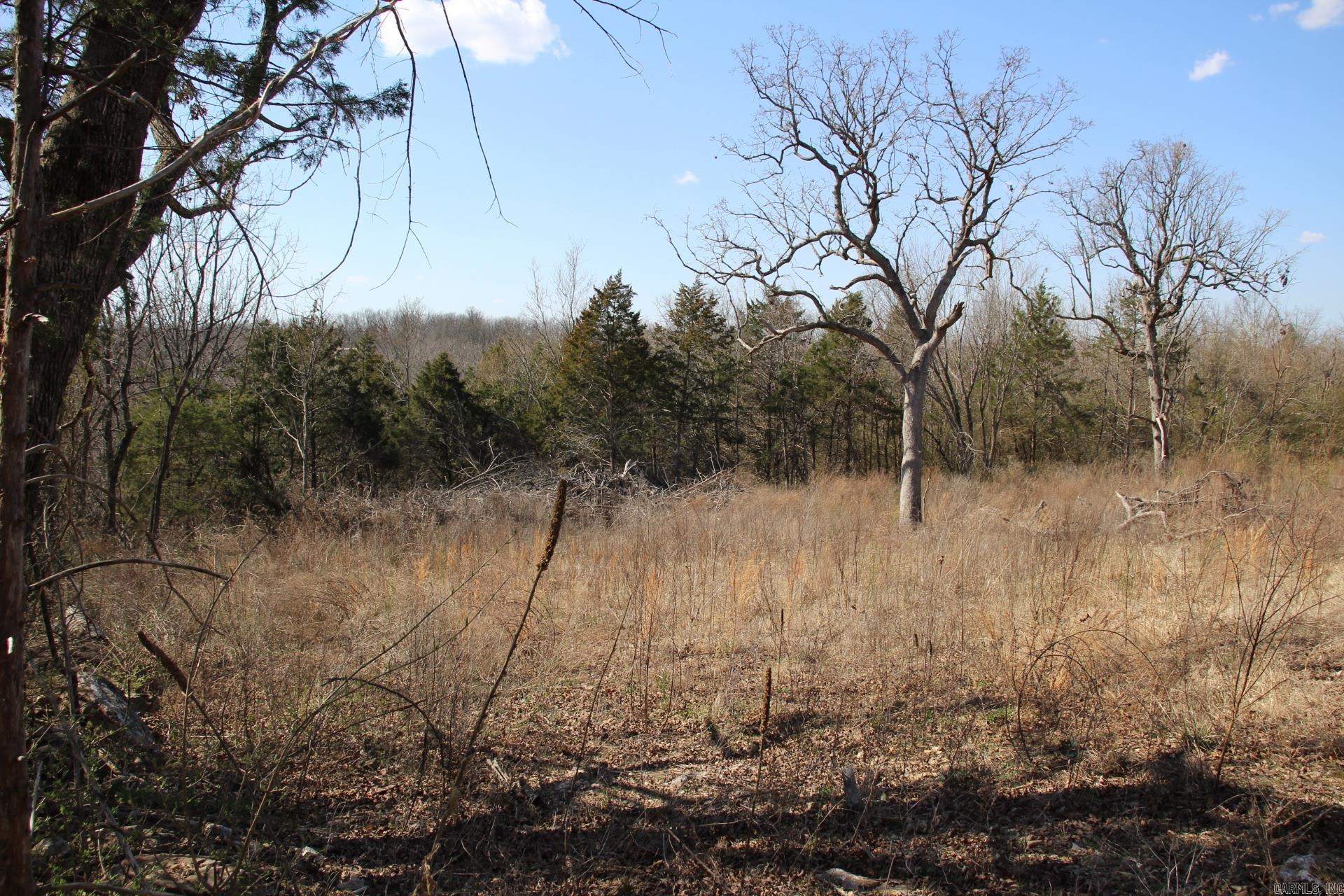 lot 1  Kingsberry  Mountain Home, AR