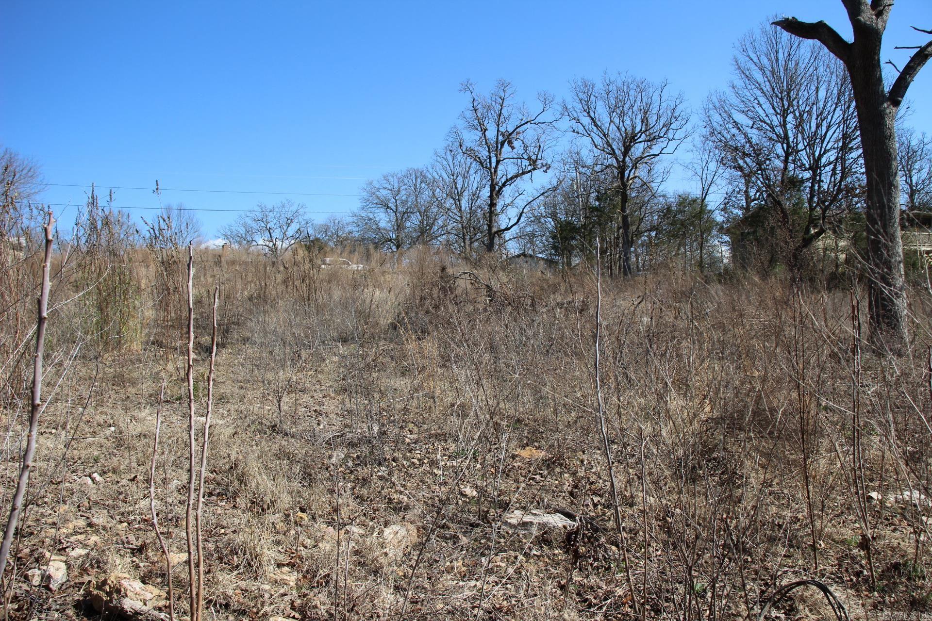 lot 1  Kingsberry  Mountain Home, AR