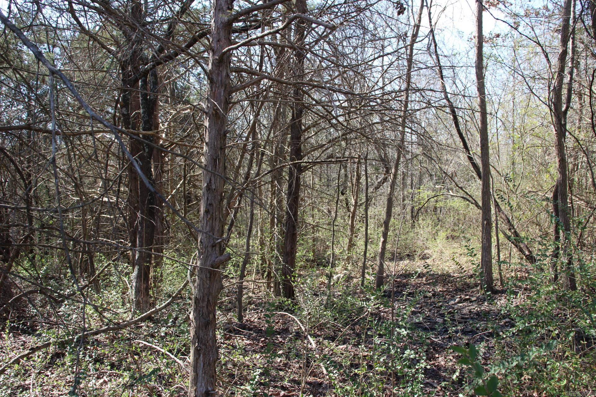 lot 1  Kingsberry  Mountain Home, AR