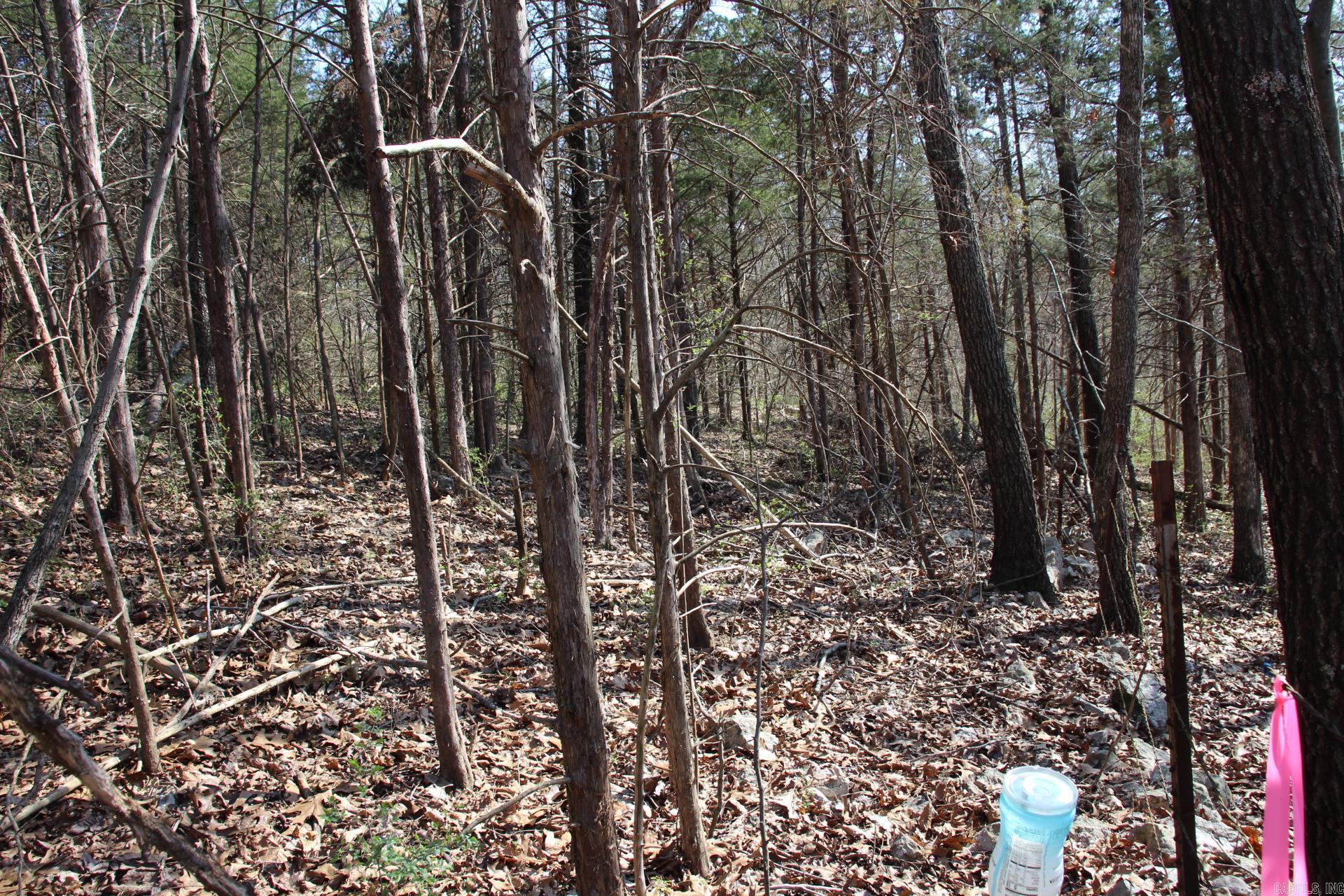 lot 1  Kingsberry  Mountain Home, AR