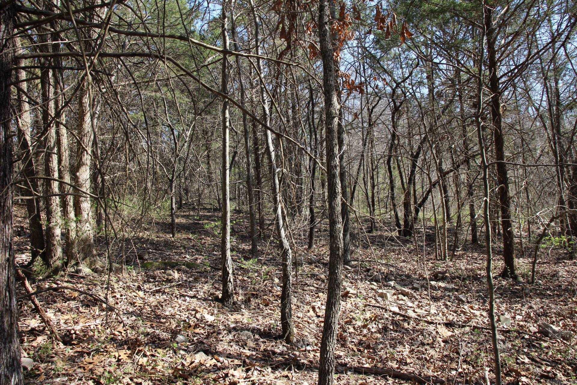 lot 1  Kingsberry  Mountain Home, AR