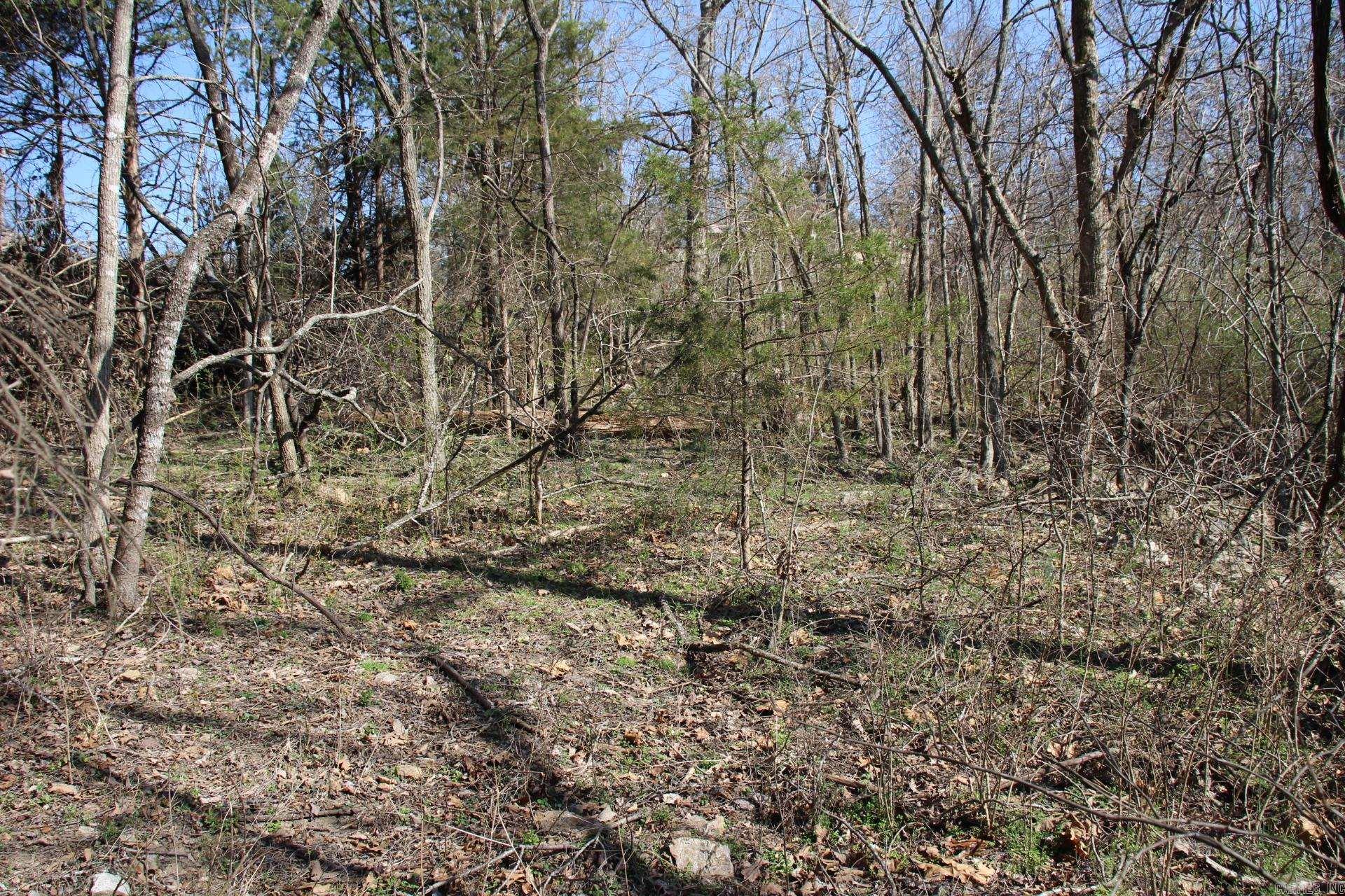 lot 1  Kingsberry  Mountain Home, AR
