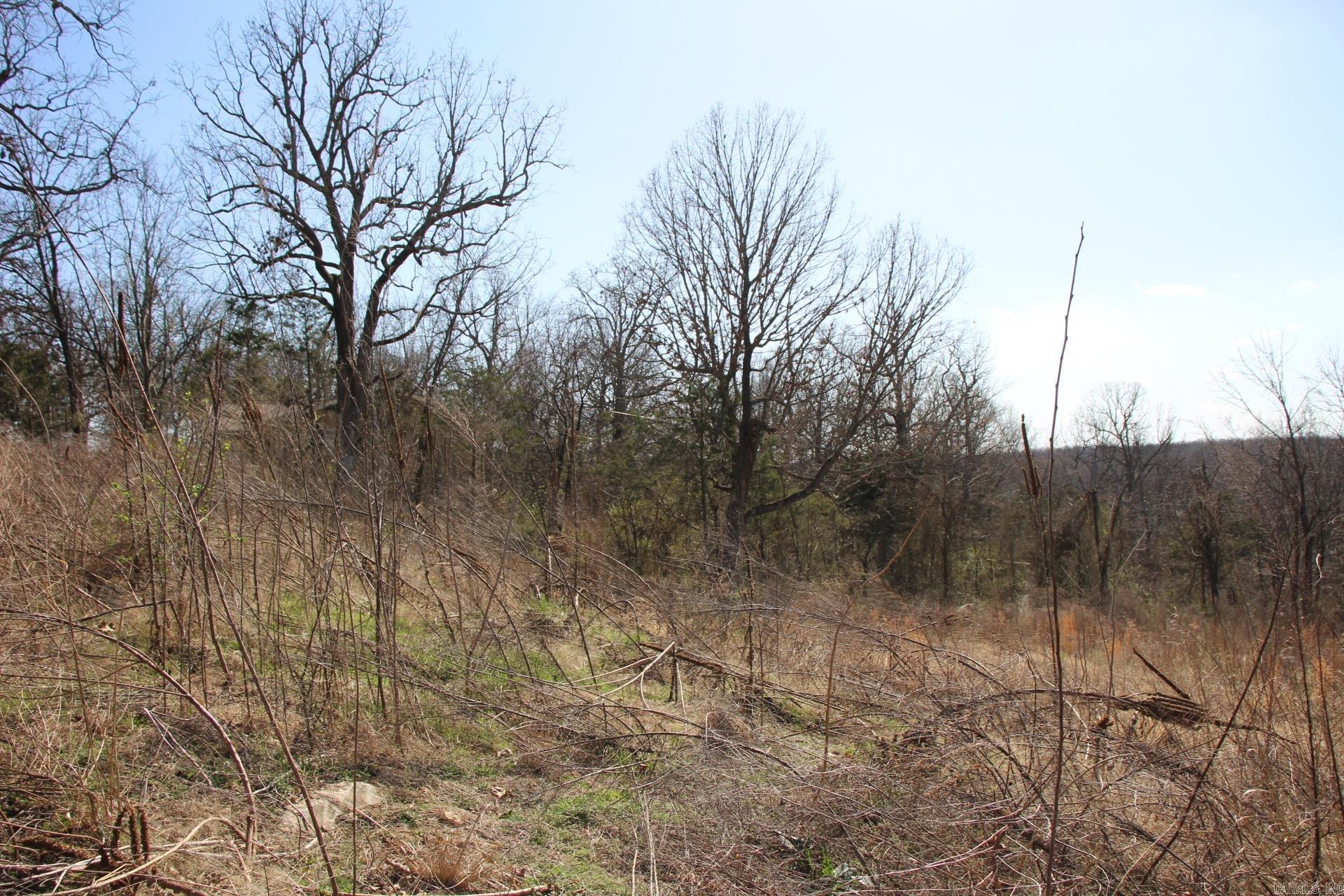 lot 1  Kingsberry  Mountain Home, AR