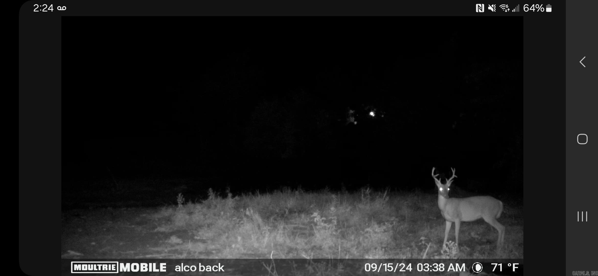 3703  HWY 66 W  Alco, AR