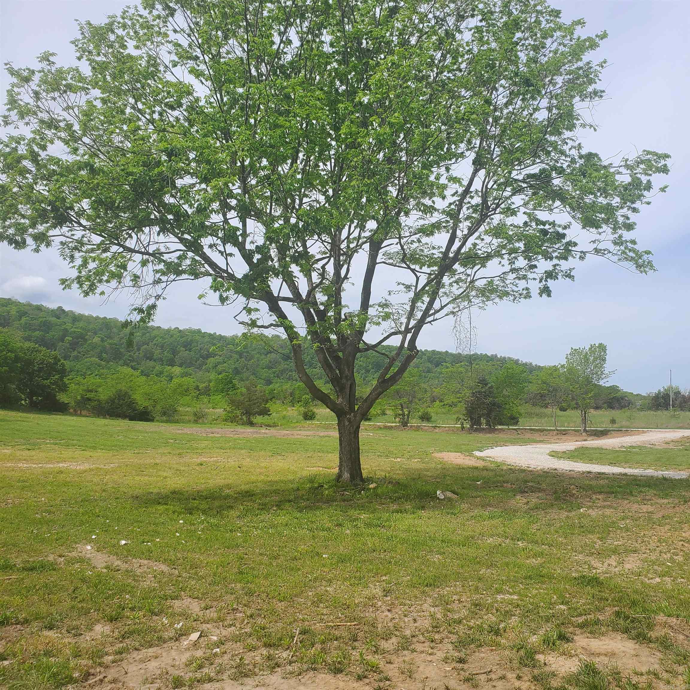 3703  HWY 66 W  Alco, AR