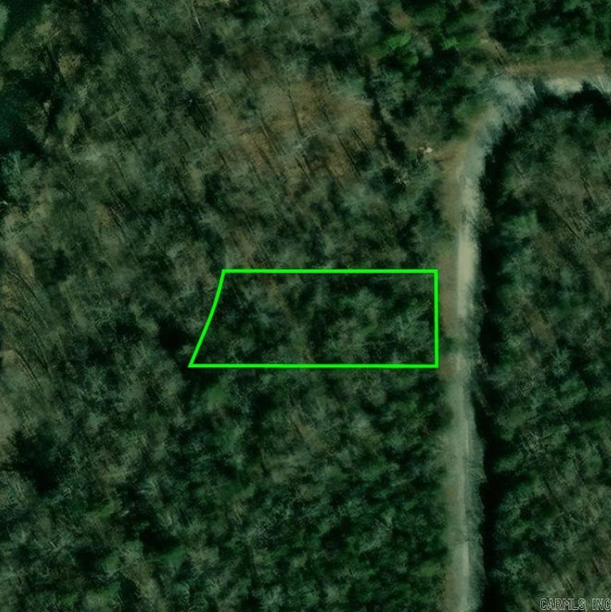 1305 Riverview Dr  Horseshoe Bend, AR