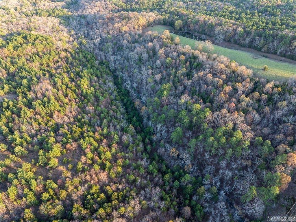 TBD  Easement Road off of Polk 295 Parcel #1 Hatfield, AR