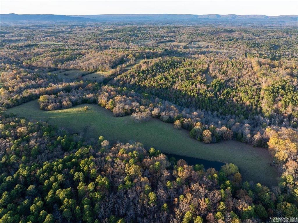 TBD  Easement Road off of Polk 295 Parcel #1 Hatfield, AR