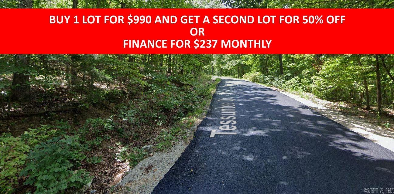 0  Tessuntee  Cherokee Village, AR